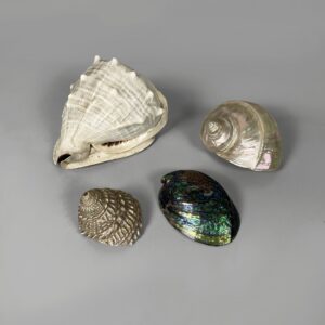 Conchiglie decorative, 1900-1990 ca.