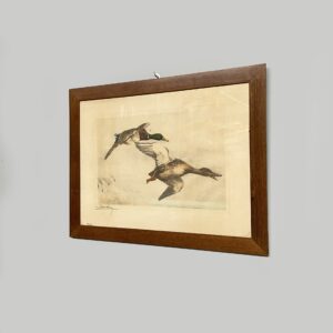 Quadro di anatre su carta, 1960 ca.